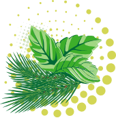 avatar lemon